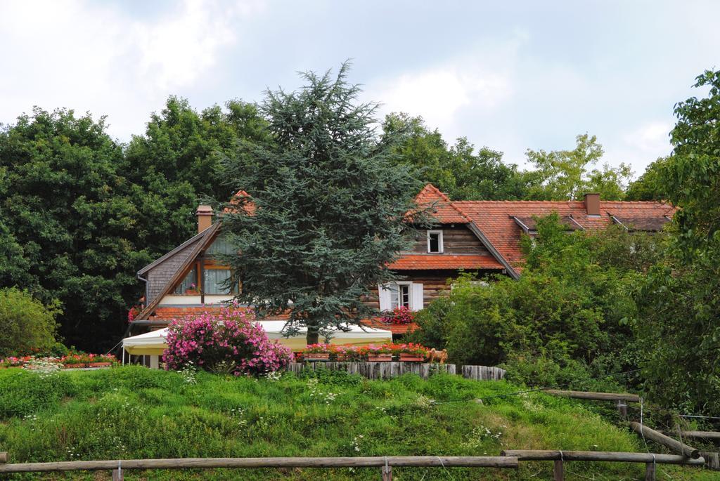 Le Neufeld Bed & Breakfast Oberhaslach Dış mekan fotoğraf