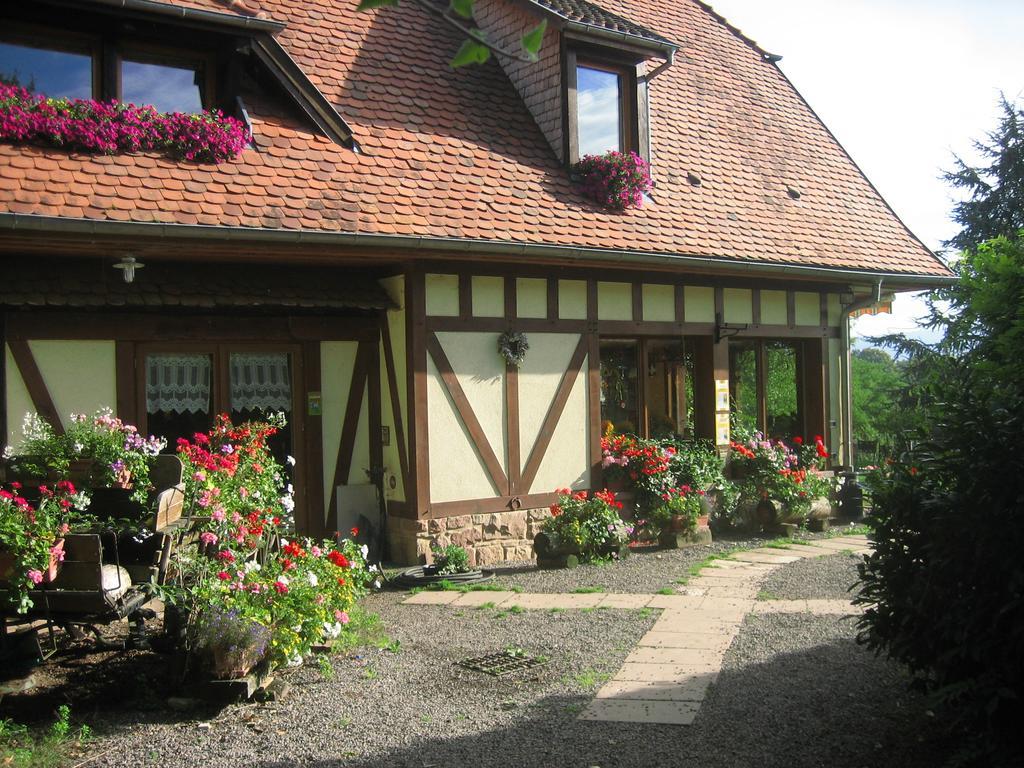 Le Neufeld Bed & Breakfast Oberhaslach Dış mekan fotoğraf