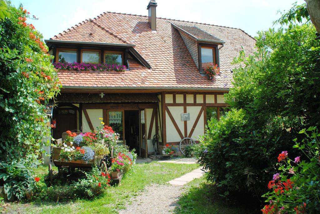 Le Neufeld Bed & Breakfast Oberhaslach Dış mekan fotoğraf