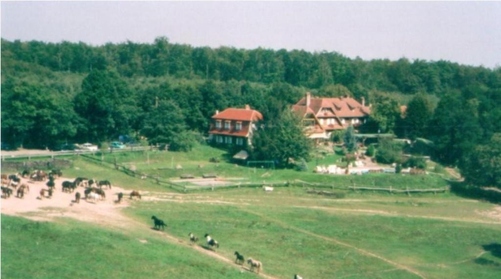 Le Neufeld Bed & Breakfast Oberhaslach Dış mekan fotoğraf
