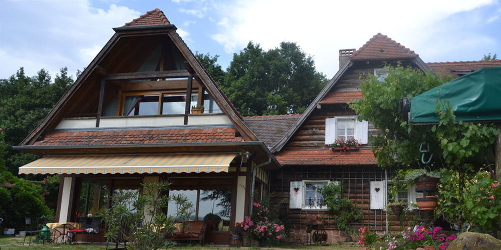 Le Neufeld Bed & Breakfast Oberhaslach Dış mekan fotoğraf