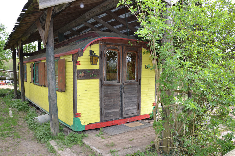 Le Neufeld Bed & Breakfast Oberhaslach Dış mekan fotoğraf