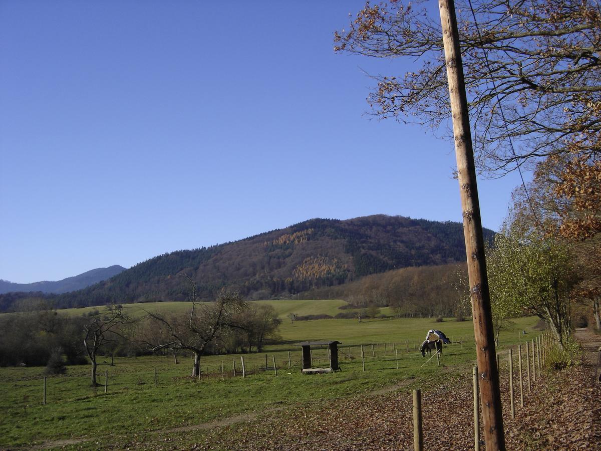 Le Neufeld Bed & Breakfast Oberhaslach Dış mekan fotoğraf